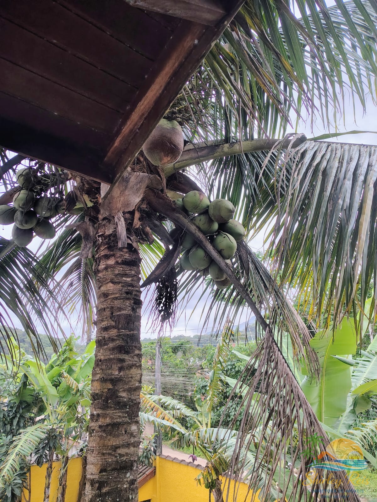 Casa de Condomínio, 4 quartos - Foto 30