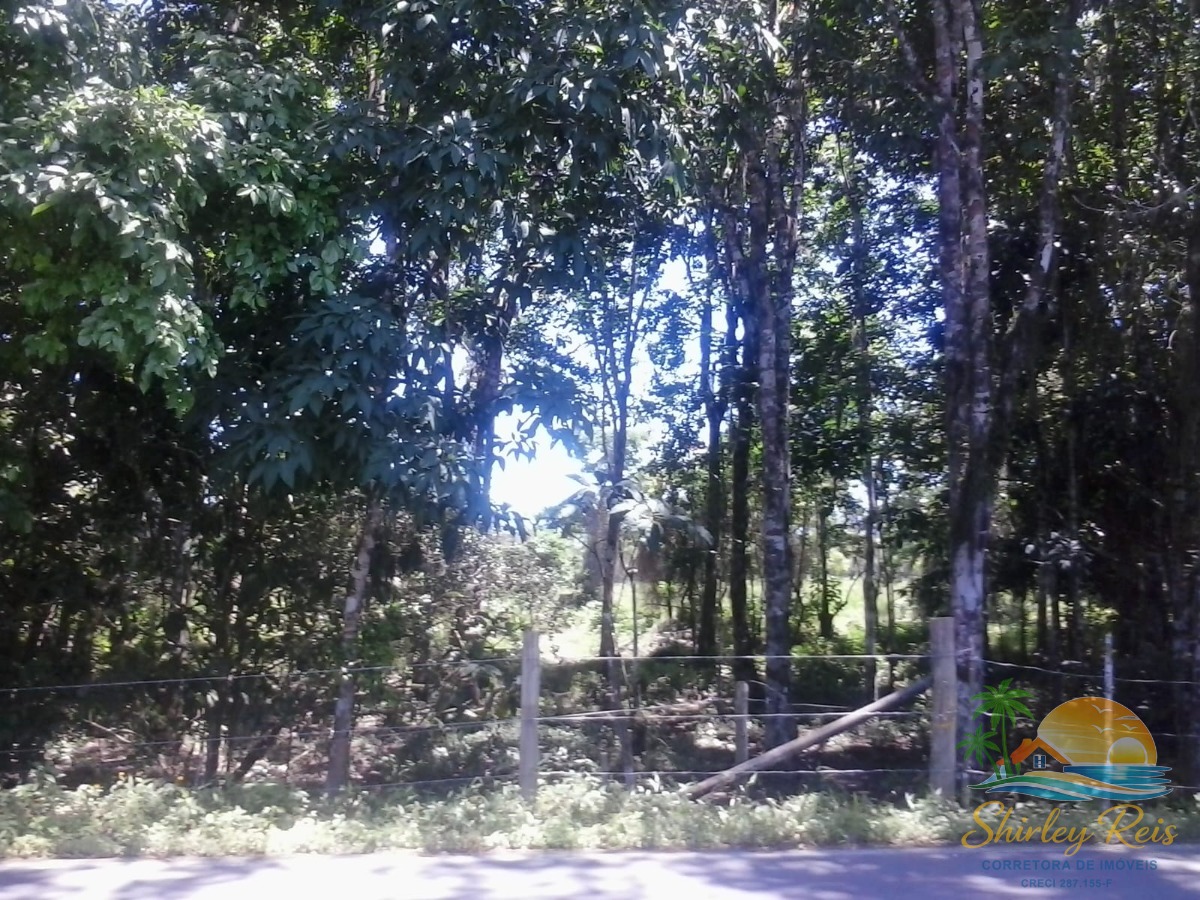 Terreno, 30 m² - Foto 5