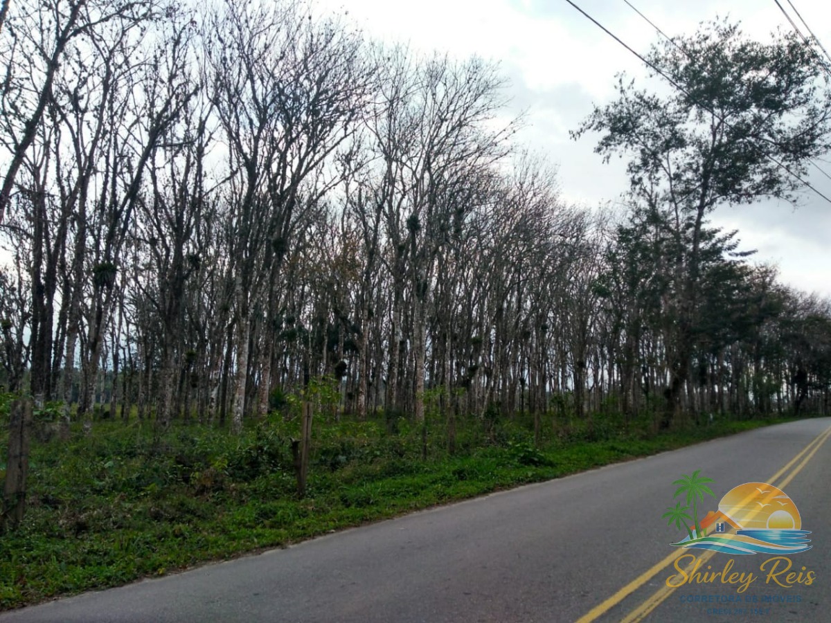 Terreno, 30 m² - Foto 4