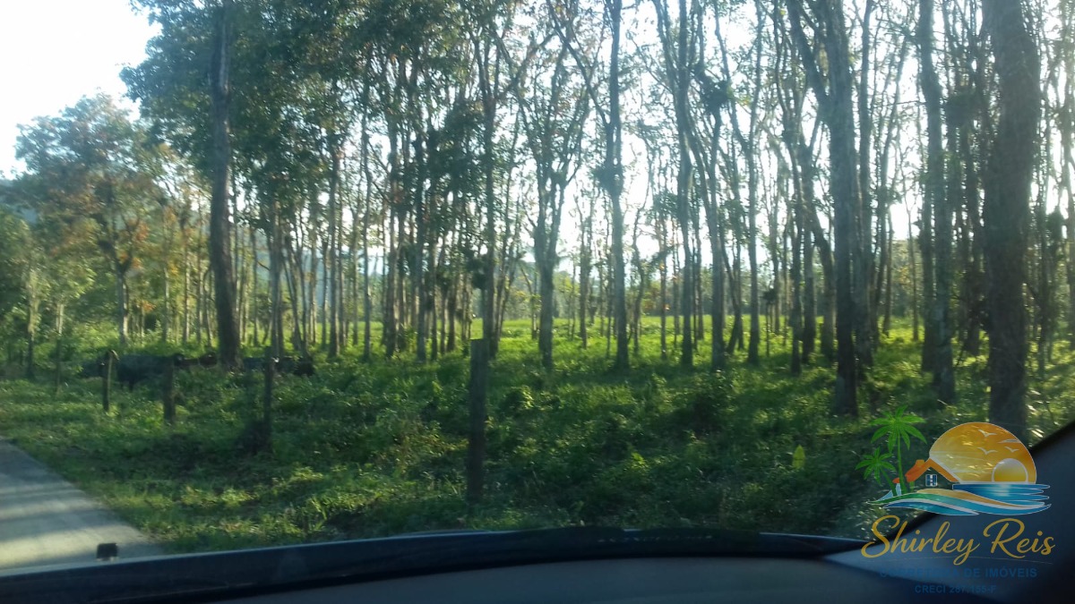 Terreno, 30 m² - Foto 1