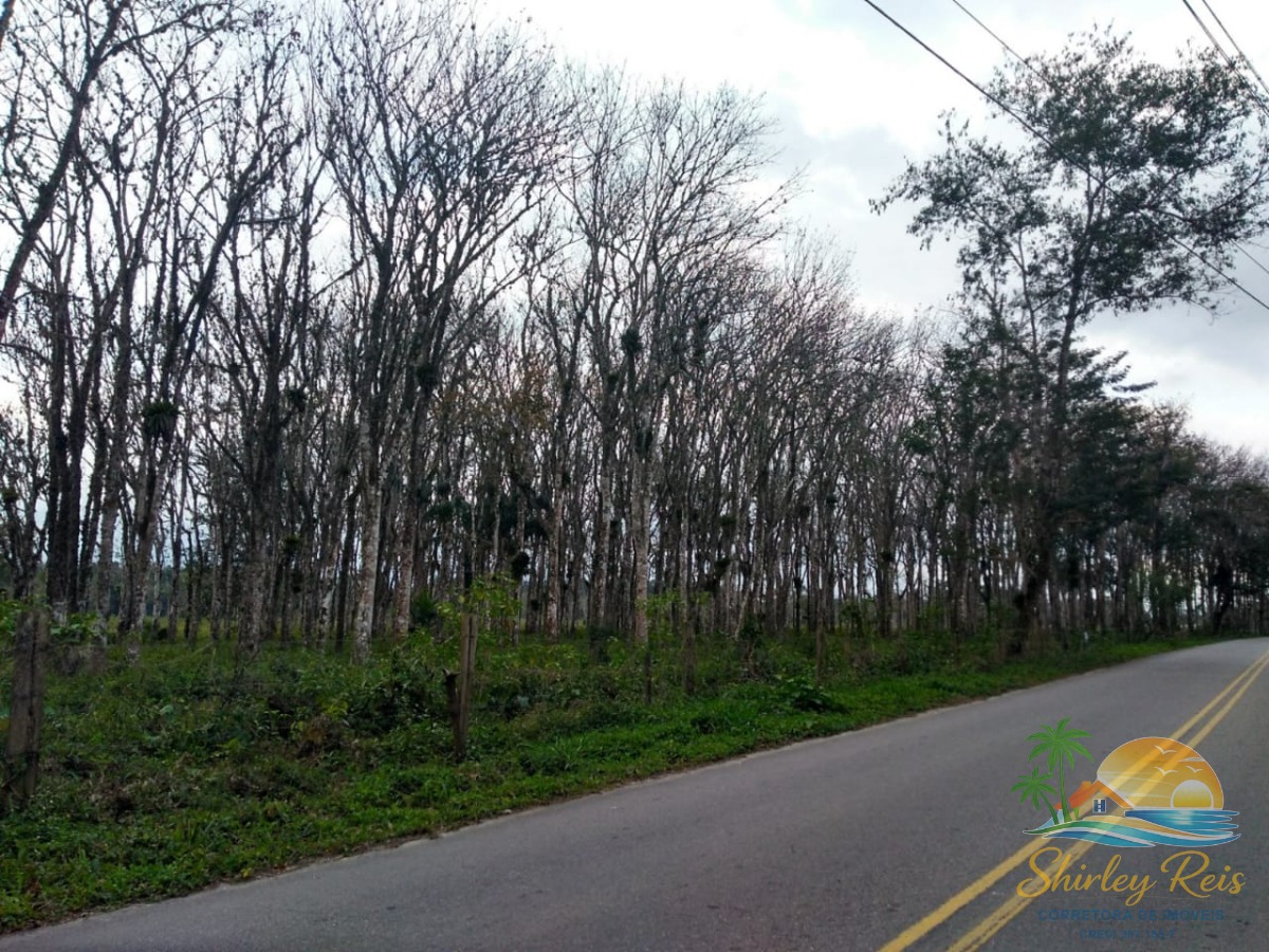 Terreno, 30 m² - Foto 6