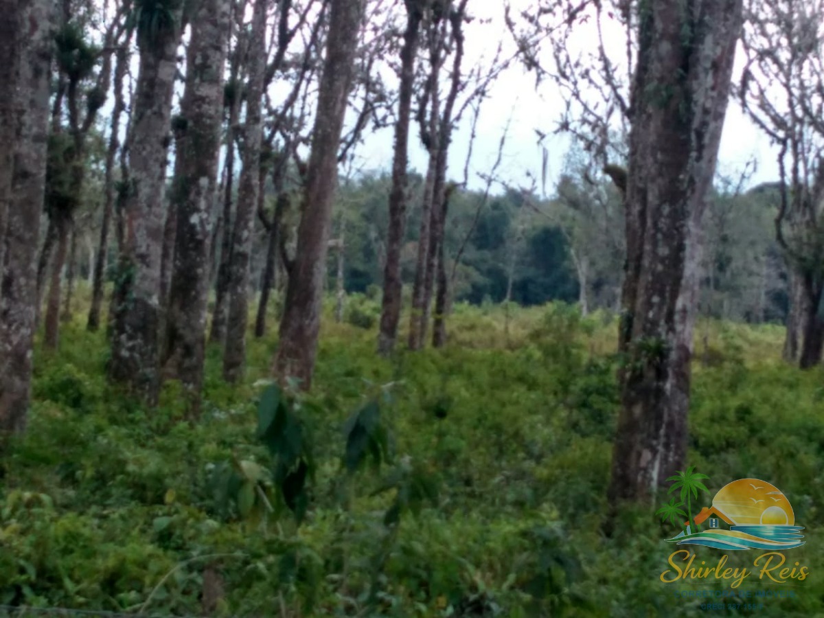 Terreno, 30 m² - Foto 3