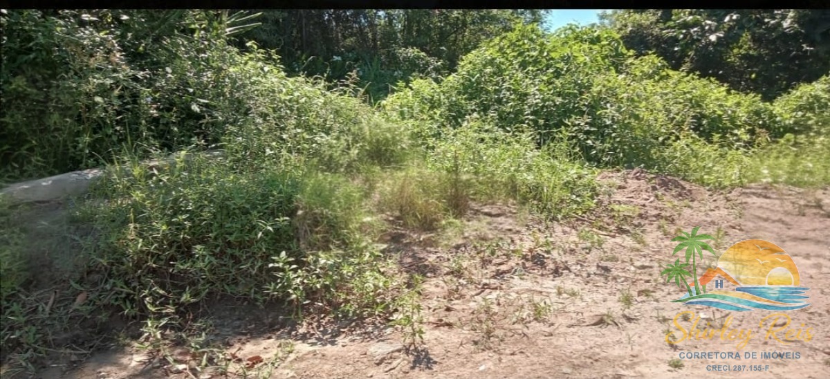 Terreno, 1500 m² - Foto 8